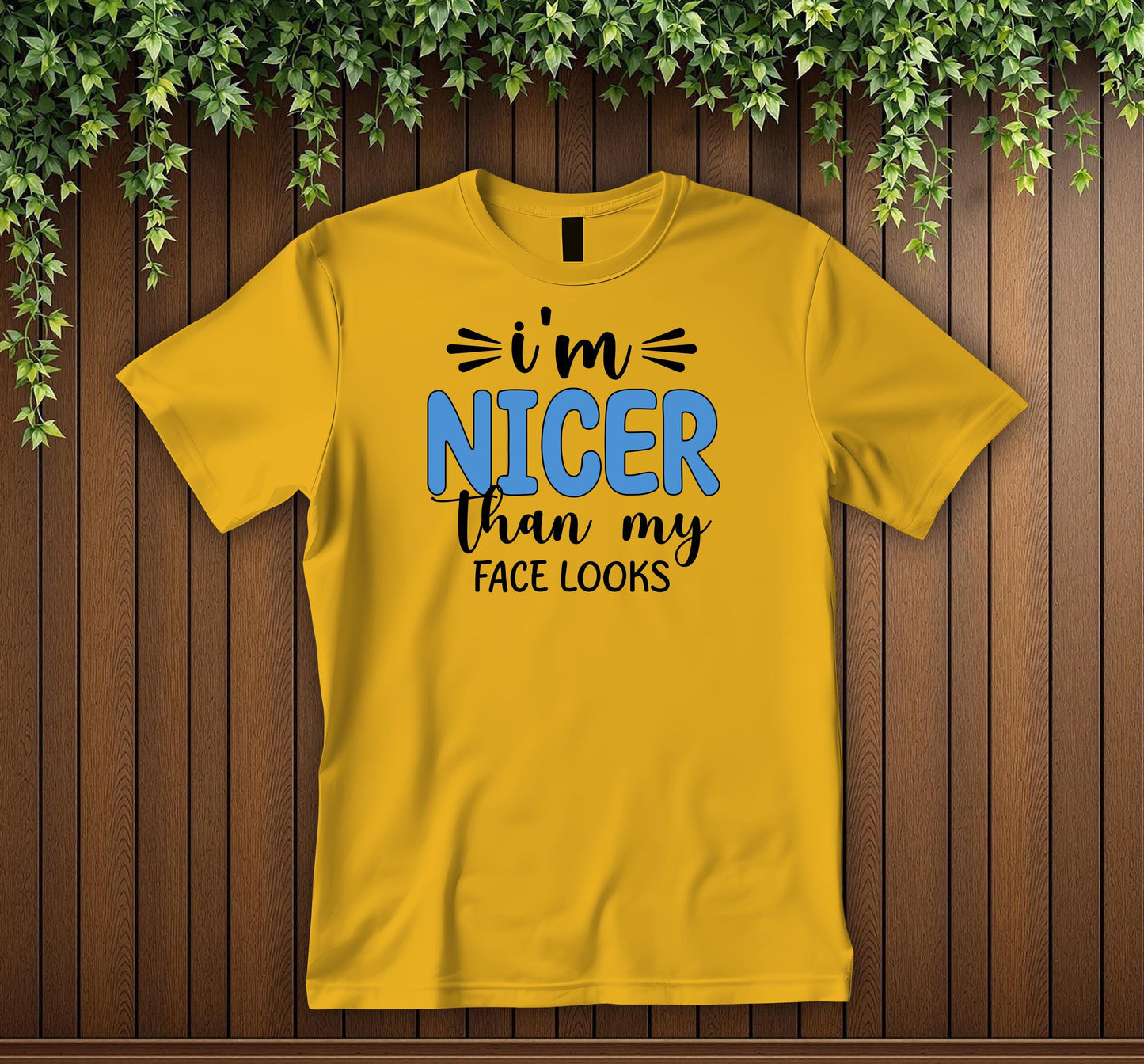 Funny “I'm Nicer Than My Face Looks T-Shirt Sarcastic Quote Tee Snarky Graphic T-Shirt Unisex Tee
